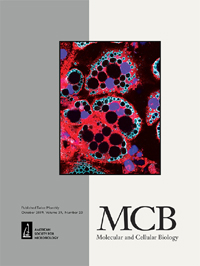 Cover image for Molecular and Cellular Biology, Volume 39, Issue 20, 2019