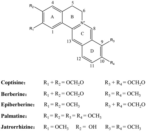Figure 1. Structures of the five main active alkaloids in Rhizoma Coptidis.