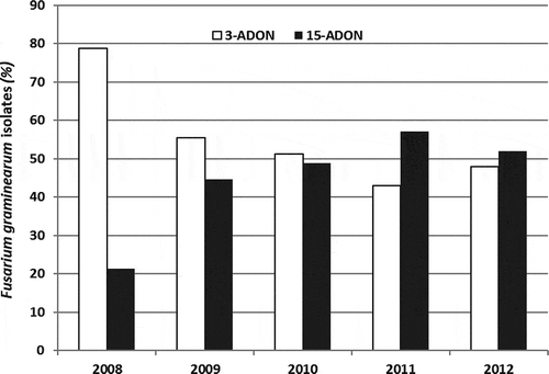 Fig. 2 Recovery of 3-acetyldeoxynivalenol (ADON) and 15-ADON isolates of Fusarium graminearum from Glenlea MB, fusarium head blight nurseries inoculated with both chemotypes from 2008 to 2012. Results for 2008 and 2011 did not fit a 1:1 ratio.