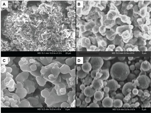 Figure 3 (A–D) Scanning electron micrographs of raw dipalmitoylphosphatidylethanolamine poly(ethylene glycol)-2k 95 DPPC:5 DPPE-PEG2k and co-spray-dried 95 dipalmitoylphosphatidylcholine (DPPC):5 DPPE-PEG 2k particles at three pump rates. (A) Raw DPPE-PEG2k, magnification 1000×; (B) 95 DPPC:5 DPPE-PEG2k particles at 10% (low P) pump rate, magnification 10,000×; (C) 95 DPPC:5 DPPE-PEG2k particles at 50% (medium P) pump rate, magnification 10,000×; (D) 95 DPPC:5 DPPE-PEG2k particles at 100% (high P) pump rate, magnification 10,000×.
