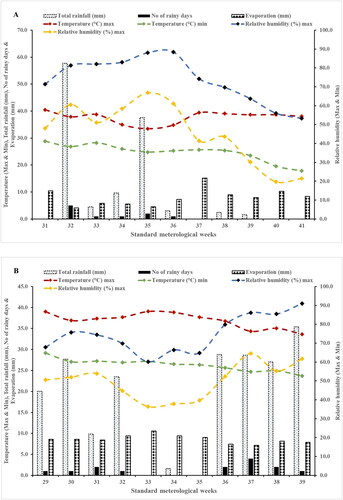 Figure 1. Weekly mean maximum and minimum temperatures, cumulative weekly rainfall and evaporation, mean weekly relative humidity, and cumulative weekly number of rainy days. (A) 2020 and (B) 2021 during the moth bean growing season at the experimental site.