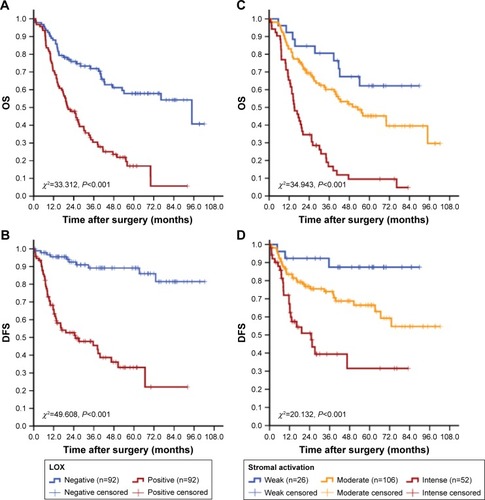 Figure 6 Cumulative OS and DFS curves of GC patients.Notes: (A and B) LOX expression was related to the increased risk of death and recurrence for GC. (C and D) Stromal activation was related to the increased risk of death and recurrence for GC.Abbreviations: OS, overall survival; DFS, disease-free survival; GC, gastric cancer; LOX, lysyl oxidase.