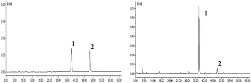 Figure 1. HPLC plots of standard solution (a) and SPE (b). The peaks are identified as: rosmarinic acid (1), salvianolic acid B (2).