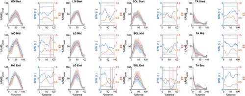 Figure 3. Medial gastrocnemius (MG), lateral gastrocnemius (LG), soleus (SOL) and tibialis anterior (TA) mean ±1 standard deviation (shaded areas) values for the preferred (solid blue line) and non-preferred limb (solid orange line) at each running stage (Start, Mid, End). Respective SPM{t} and ES analysis are presented beside each muscle activation panel. SPM{t} = solid blue lines; t threshold = blue dashed lines; ES = solid orange lines. Vertical red lines indicate the portion of stance phase in which p < 0.05