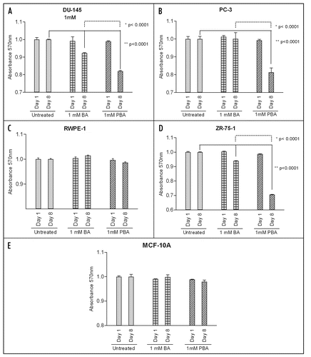 Figure 3 PBA decreases cell viability at eight days in cancer cells. DU-145 and PC-3 prostate cancer, RWPE-1 non-tumorigenic prostate, ZR-75-1 breast cancer and MCF-10A non-tumorigenic mammary cell lines were grown for either 24 hours or eight days in the presence of absence of 1 mM Boric Acid (BA) or Phenylboronic Acid (PBA). The MTT reagent was added to each well for four hours and then solubilized in DMSO and absorbance was read at 570 nm. Results were normalized to untreated cell line controls and expressed as mean ± SEM (n = 3). After one day, no cell line showed a significant decrease in viability when grown in the presence of either 1 mM BA or PBA. Following the eight day treatment, DU-145 and ZR-75-1 cell viability was significantly decreased by the addition of both 1 mM BA and PBA compared to untreated controls. PC-3 cell viability was not decreased by BA at eight days but was decreased by PBA at this timepoint. PBA treatment led to significantly lower cell viability staining than BA at eight days in all cancer cell lines as well. However, neither BA nor PBA had a significant effect on non-tumorigenic prostate or breast cancer cell line viability at either one or eight days.