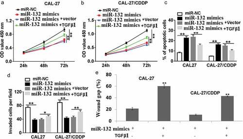 Figure 6. Effect of TGF-β1 overexpression on miR-132-regulated cell proliferation, apoptosis, migration and invasion. CAL-27 and CAL-27/CDDP cells were transfected with miR-132 mimics + TGF-β1, miR-132 mimics + vector, miR-132 mimics, or miR-NC for 24 h. (a,b) Cell proliferation, (c) apoptosis, (d) cell invasion and (e) cell migration were measured by CCK-8, flow cytometry, transwell, or wound healing assay, respectively. *P < 0.05, **P < 0.01