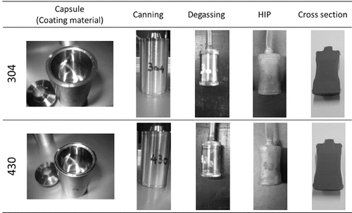 Figure 2. Photographs of the samples taken after the processing procedure.