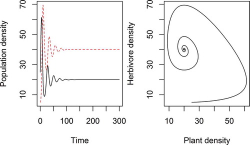 Figure 2. A simple model of a plant population (P) fed on by a herbivore population (H) according to continuous time Lotka–Volterra dynamics where the plant population has a carrying capacity K (for convenience, no such density dependent limitation is assumed for the herbivores). The coupled differential equations representing the rates of change are: . Model parameters were K = 100, r = 0.5, a = 0.01, f = 0.01, b = 0.2 with P(0) = 25 and H(0) = 5. The left plot shows the population densities of both species (herbivore red broken line, plant black continuous) moving towards an equilibrium over time, the right plot shows the same dynamics presented in phase space. Why is a non-zero equilibrium of herbivores and plants possible despite the fact that herbivores eat plants? Radically altering any of the model parameters (or starting conditions) can result in extinction of the herbivore population or both the plant and herbivore populations, so the important point is that there is no single answer as to what keeps this artificial world green – it depends on a combination of parameters.