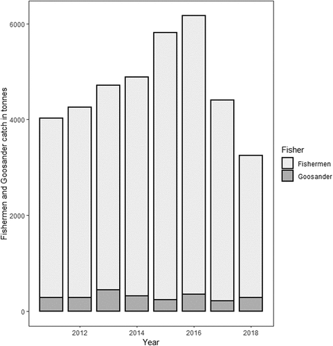 Figure 5. Fishing by fishermen and Goosander Mergus merganser in the lagoons of the southern Baltic in 2011–2018.