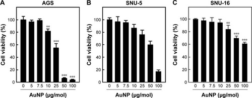 Figure 5 Cytotoxicity effect of Ch-AuNP.Notes: (A–C) The normal human gastric cancer cells (AGS, SNU-5, SNU-16) were exposed to different concentrations of Ch-AuNP for 24 hours and the effect on cell viability was analyzed by MTT assay. The number of viable cells after treatment is expressed as a percentage of the vehicle-only control. This experiment was repeated thrice and the bars in the graph represent SE (**P<0.05, ***P<0.01).Abbreviation: Ch-AuNP, Cardiospermum halicacabum-gold nanoparticles.