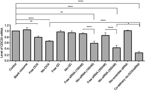 Figure 7 Real-time PCR analysis of CDC20 mRNA level in AGS cells transfected by different niosomes. The values were expressed as mean ± SD from three independent experiments. *p<0.05, **p<0.01, ***p<0.001, ****p<0.0001. Abbreviations: CDC20, cell division cycle 20; Nio, niosomal; DOX, doxorubicin; QC, quercetin.