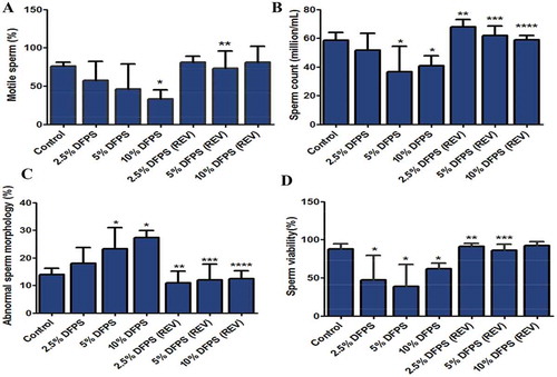 Figure 4. Effects of dietary fluted pumpkin seeds (DFPS) on sperm quality variables of male rats after 60 days treatment and 60 days post-treatment. Cauda epididymis excised from each rats were used to evaluate sperm quality parameters as described in the material and methods section. (A) % motile sperms, (B) sperm count, (C) % abnormal sperm morphology, and (D) % sperm viability. Data are presented as the mean ± SD (n = 5). *versus control group, **versus 2.5% DFPS group, ***versus 5% DFPS group, and ****versus 10% DFPS group (p < 0.05).