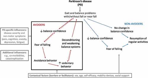 Figure 1. A conceptual model of the vicious cycle of fear of falling avoidance behavior (black box).