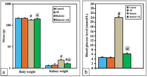 Figure 1. The means of body weight and kidney weight among the different studied groups. #: significance between control and diabetic-group, @: significance between diabetic-group and diabetic +AE group.