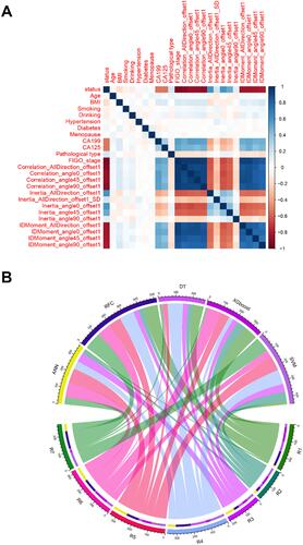 Figure 2 Variable screening and weight allocation. (A) Correlation matrix analysis of candidate features. (B) The weight distribution of the candidate variables of each ML-based model.