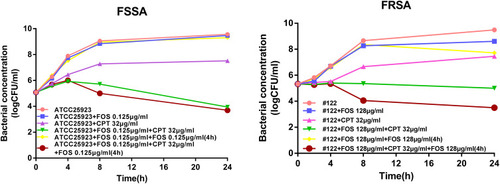 Figure 2 Cryptotanshinone potentiates the fosfomycin activity against FSSA and FRSA strains after second time addition of fosfomycin. Time-kill curves of S. aureus ATCC 25,923 and #122 strains in presence of cryptotanshinone and fosfomycin alone, or in combination with or without addition of fosfomycin for second time 4 h after bacterial addition. FOS, fosfomycin, CPT, cryptotanshinone.