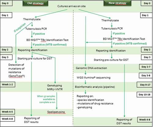 Figure 1. Comparison of the old (using conventional methods) and new (using WGS) diagnostic/surveillance strategies used in the Belgian NRC for M. tuberculosis complex. Turnaround time for the different steps is given. In case of urgent analysis, a GeneXpert® MTB/RIF assay can be performed