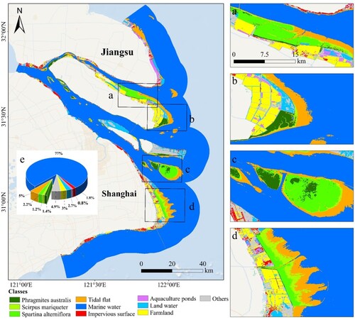 Figure 8. Type and spatial distribution of tidal wetland habitats in YRE in 2020. (a) Chongming Beitan. (b) Chongming Dongtan. (c) Jiuduansha. (d) Nanhui Dongtan. (e) Proportions of different LULC categories in YRE. The colors in e correspond to the legend.