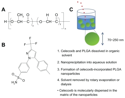 Figure 1 (A) Chemical structure of PLGA and (B) celecoxib. Schematic illustrations of formation of PLGA nanoparticles incorporating celecoxib by nanoprecipitation. Celecoxib is molecularly dispersed in the matrix of the nanoparticles.