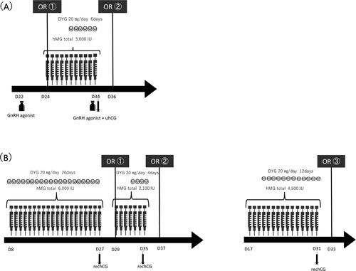 Figure 1. Time course of ovarian stimulation and oocyte retrieval in (A) Case 1 and (B) Case. OR, oocyte retrieval; DYG, dydrogesterone; human menopausal gonadotrophin; uhCG, urine human chorionic gonadotropin; rechCG, recombinant human chorionic gonadotropin;.