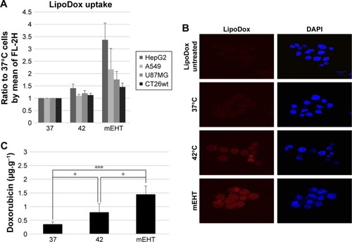 Figure 3 Increased Lipodox® uptake in vitro and in vivo due to mEHT treatment.Notes: (A) Cellular uptake of Lipodox® by various cancer cells (HepG2, A549, U87MG, and CT26wt). Cells were treated for 24 hours with 50 µM of Lipodox® followed by either incubation in water bath at 37°C as control, in water bath at 42°C, and with mEHT at 42°C for 30 minutes. Flow cytometry was used to quantify the uptake of Lipodox® by the cells. Data represent results from experiments repeated three times independently. (B) Fluorescence microscopy images of HepG2 cells which were treated with Lipodox® at 50 µM for 24 hours, followed by incubation in water bath at 37°C as control, in water bath at 42°C, and with mEHT at 42°C for 30 minutes. Nuclei were stained with DAPI (blue), and doxorubicin was indicated by red fluorescence. Magnification 400×. (C) mEHT increased Lipodox® uptake in vivo. Four hours after Lipodox® intravenous treatment (10 mg/kg), CT26-bearing mice were treated in three groups under incubation in water bath at 37°C as control, in water bath at 42°C, and with mEHT at 42°C for 30 minutes. Fifteen mice were divided into three groups, each containing five mice. The tumors were dissected and the concentration of doxorubicin was measured by spectrofluorometry. *P<0.05, ***P<0.005.Abbreviations: Lipodox®, liposome-encapsulated doxorubicin; mEHT, modulated electro-hyperthermia.