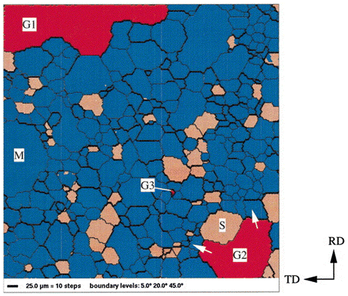 Figure 25. Orientation image microscopy (OIM) of specimen in secondary recrystallization. The bold black lines represent boundaries with a misorientation angle between 20° and 45°. Grains shown in red represent Goss grains with a deviation angle of less than 5° from the ideal position. Grains shown in blue represent grains with a misorientation angle of between 20° and 45° with respect to the Goss orientation [Citation67].