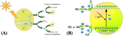 Figure 3. Schematic illustration of the band gaps and photocatalytic processes on S-doped TiO2 (A), and C-doped TiO2 (B). Adapted from references ( Citation27) and ( Citation28) with permissions. Copyright 2016, Royal Society of Chemistry. and 2013, Elsevier Ltd.