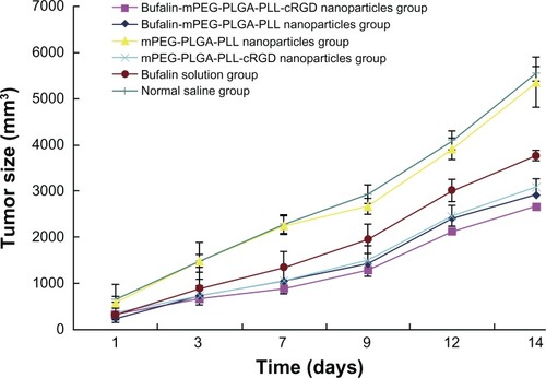 Figure 7 Tumor size in different groups (mm3; n = 10).