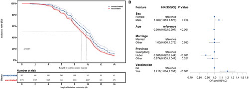 Figure 1. Effect of vaccination on isolation within 14 days. (A) Comparative isolation rates of vaccinated and unvaccinated patients. Red curve represents the isolation rate of vaccinated patients, and blue curve represents the isolation rate of unvaccinated patients. (B) Odds of isolation centre discharge within 14 days in vaccinated and unvaccinated patients.