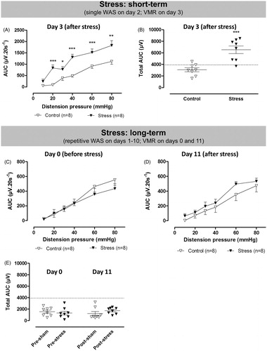 Figure 4. The effects of acute and repetitive WAS (filled triangles) or sham stress (open triangles) on VMRs to colorectal distension. In the acute setting, VMRs were evaluated 24 h after single WAS (A and B). In the repetitive stress experiment, visceral sensitivity was assessed longitudinally in the same rats the day before the start of the protocol and 24 h after the last stress exposure (C–E). Data are presented as the AUC for the individual distension pressures (A, C and D; analyzed by generalized estimating equations) or as the total AUC (E, unpaired Student’s t-test). The dashed line in B–E represents the 90th percentile for controls as an upper limit for normosensitivity. Results are expressed as mean ± SEM; *p < 0.05, **p < 0.01, ***p < 0.001 compared to controls.