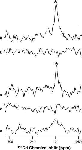 Figure 3.  113Cd CP-MAS analysis of E. coli membranes. 113Cd CP-MAS spectra were obtained by incubation of 5 mM [113Cd]CdCl2 with E. coli membranes containing ZitB(TEV-Lumio™) before (a) and after (b) incubation with 50 mM ZnCl2 or containing cysteineless ZitB (no tag) before (c) and after (d) incubation with 50 mM ZnCl2 or containing (e) GltP(His8). NMR conditions as in Figure 2.