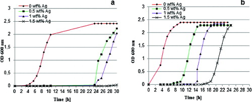 Figure 5. Bacterial growth curves for B. subtilis (a) and E. coli K12 (b) in the presence of hybrids derived with different silver content.