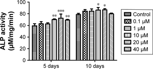 Figure S1 Evaluation of ALP activity of hASCs at various concentrations of GNPs below 40 µM. Results are mean ± SD of triplicate experiments: *P<0.05, **P<0.01, and ***P<0.001 represent significant difference compared with control group.Abbreviations: GNPs, gold nanoparticles; hASCs, human-derived stem cells.