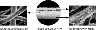 Figure 1 Scanning electron micrograph of RWF.