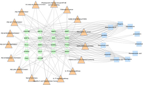 Figure 7 Compound-Target- Pathway Network, the pink triangle node are the signal transduction pathways; green hexagon nodes are OGs, blue rectangle nodes are the compounds of HTD extract, lines represent the interactions between them.