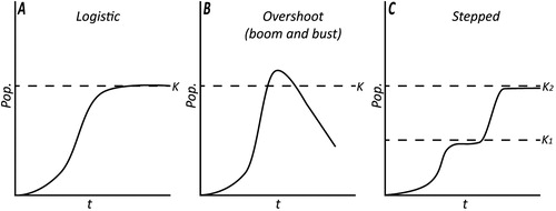 Figure 1. Population growth scenarios (adapted from Kirch Citation1984).