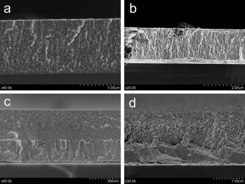 Figure 1. SEM cross-sectional views of the MoS2 and WSe2-based coatings: (a) MoS2, (b) MoS2-WC, (c) WSex, (d) WSex-WC.