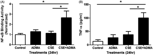 Figure 4. Effects of ADMA and CSE on NF-κB activity and TNFα production in mouse lung epithelial cells. LA-4 cells treated with 100 µM ADMA ±10% CSE in serum-free media for ∼24 h. (A) Relative NF-κB binding activity in nuclear extracts was determined (n = 4/group). (B) TNFα levels in the media were also assessed (n = 4/group). Data shown are means ± SE. *p < 0.05. This data indicates that ADMA in combination with CSE increases both NF-κB activity and TNFα production in vitro.