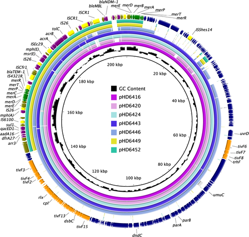 Figure 2 Plasmid structure comparison between blaNDM-1-harbouring pHD6416 and the other strains. The backbone region of pHD6420, pHD6424, pHD6443, pHD6446 was highly comparable with pHD6416 backbone, respectively, while pHD6449 and pHD6452 contain a different backbone. The multidrug-resistant regions of the seven plasmids were also highly comparable with just a few mobile elements different. Colored arrows indicate ORFs, with navy, yellow, Orange, olive, purple and green arrows representing plasmid backbone genes, mobile elements, plasmid transfer genes, Tn6358b/c backbone genes, the antimicrobial and heavy metal resistance genes, respectively.