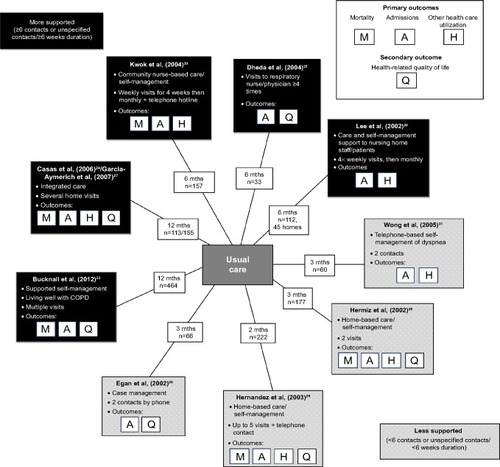 Figure 2 Summary diagram of interventions.