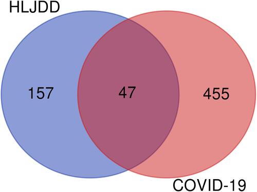 Figure 2 Venn diagram presents the overlapping genes between HLJDD and COVID-19-related targets.