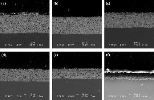 Figure 3. Cross-sectional SEM Image for different Ni:W ratio in Ni-W/diamond composite coatings fabricated at 75 °C, 0.15 A/cm2 current density,10 g/L diamond concentration and 8.9 pH (a) 0.22 (b) 0.35 (c) 0.42 (d) 0.75 (e) 1 (f) 2.