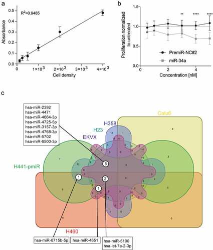 Figure 3. Validation of a combinatorial effect of the 111 miRNA mimics in combination with miR-34a in a panel of NSCLC cell lines. (a) Validation of sulforhodamine B (SRB) method for secondary verification of screen hits. Absorbance of SRB as a linear response to H441-pmiR cell number. Error bars: mean ± s.d., n = 6. (b) Response of H441-pmiR to miR-34a measured by SRB. Error bars: mean ± s.d., n = 6. (c) miRNA combinations evaluated in a panel of six NSCLC cell lines. miRNAs included in this comparison had a CI lower than 1 (potential synergism), p < 0.05 and cell proliferation of the single miRNA was <1.