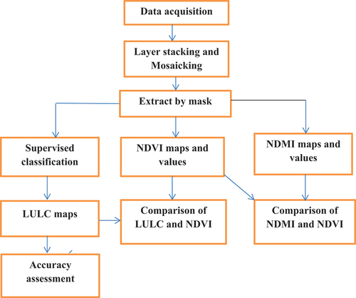 Figure 2. Details of classification and methodological steps.