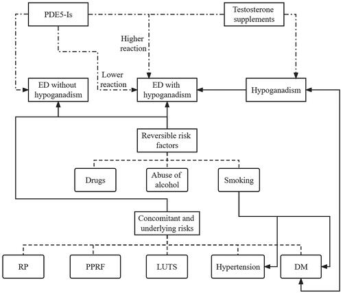 Figure 1. The common systemic and sexual health risk factors related to ED and the differences in responsiveness to PDE5i between ED patients with and without hypogonadism. ED: erectile dysfunction; PDE5-is: phosphodiesterase type 5 inhibitors; RP: radical prostatectomy; PPRF: psychological and partner relationship factors; LUTS: lower urinary tract symptoms; DM: diabetes mellitus. “…” represents classification of risk factors of ED. “.-.-.” represents treatment. “——” represents causal relationship.