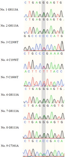 Figure 6. Sanger sequencing results for individuals carrying rare harmful mutations in VWF in the NIHL group.