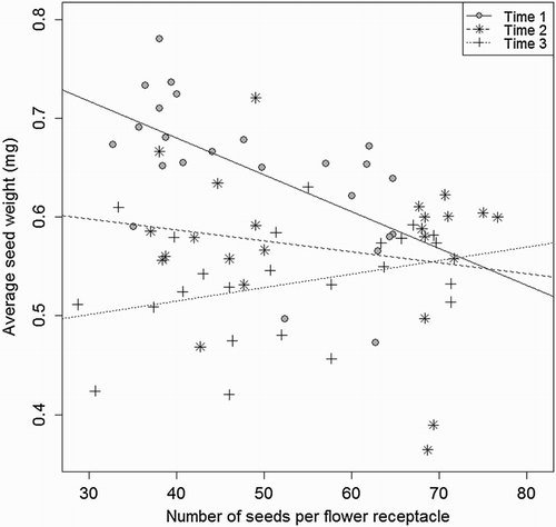 Figure 3. Average seed weight (mg seed−1) of S. arvensis as a function of number of seeds per flower receptacle at three sampling times (1 = 8 September, 2 = 17 September, and 3 = 26 September) when averaged over the two initial root lengths (5 and 20 cm). The slope (−0.00372) at sampling time 1 is significantly different from zero (P = 0016). Solid line, filled circle: sampling time 1, Dashed line, star = sampling time 2, Dotted line, cross: sampling time 3.