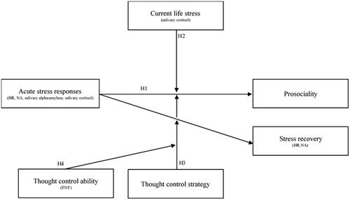 Figure 1. Conceptual model. Note. HR: heart rate; NA: negative affect; TNT: think/no-think task. H1: Acute stress responses [(a) HR, (b) NA, (c) alpha-amylase, (d) cortisol] are negatively associated with prosociality [prosocial motivation, helping behavior]. H2: Current life stress moderates the relationship between acute stress responses [(a) HR, (b) NA, (c) alpha-amylase, (d) cortisol] and prosociality [prosocial motivation, helping behavior]. The negative relationship between acute stress responses and prosociality is stronger for individuals with high current life stress. H3: The thought control strategy moderates the effect of acute stress responses [(a) HR, (b) NA] on stress recovery [(a) HR, (b) NA] and prosociality [prosocial motivation, helping behavior] such that individuals with the thought control strategy should be less stressed and more prosocial. H4: Thought control ability and the thought control strategy moderate the effect of acute stress responses [(a) HR, (b) NA] on stress recovery [(a) HR, (b) NA] and prosociality [prosocial motivation, helping behavior] such that individuals with the ability to control thoughts and the thought control strategy should be less stressed and more prosocial.