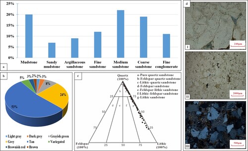 Figure 2. Lithologic characteristics of the study area: (a) statistical diagram of sandstone particle size. (b) distribution histogram of mudstone color. (c) lithologic classification of sandstone. (d) sample photos under the microscope: I-Pure quartz sandstone, MP27, 2803 m; II-Lithic quartz sandstone, AP213, 2960 m; III-Lithic sandstone, XQ7, 2808 m.