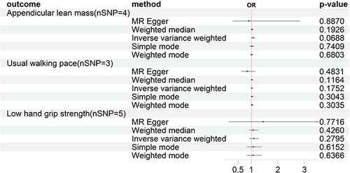 Figure 3 Forest plot of Mendelian randomization analyses. Influence of KOA on sarcopenia-related traits after removing outliers.